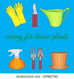 A set of tools for the care of indoor plants
