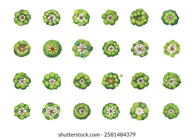 Set of Top view green tree for outdoor plan or map and architecture drawing, elements for environment and garden ,botanical elements.
