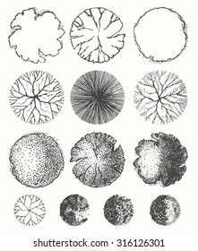 Set Of Top View Trees And Bush, Vector Graphic Illustration, Architecture Style, Hand Drawn
