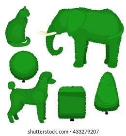 Set of topiary bushes of different shapes. Vector illustration of a elephant, poodle, cat, pyramid, sphere and cube topiary isolated on white background. 