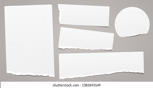 Set of torn note, notebook grainy paper stuck on grey background. Vector illustration