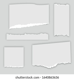 Set of torn note, notebook grainy paper strips stuck. Vector illustration EPS10