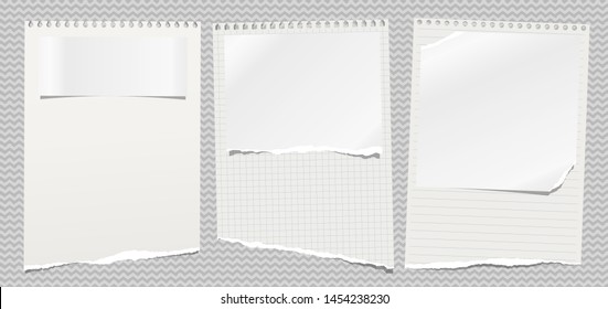 Set of torn note, notebook lined, squared paper sheets stuck on wavy background. Vector illustration