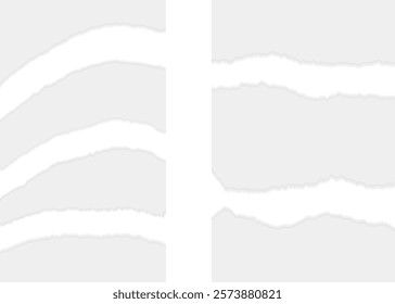 Set of Torn Paper - Design Material for Old and Vintage Look and Feel
