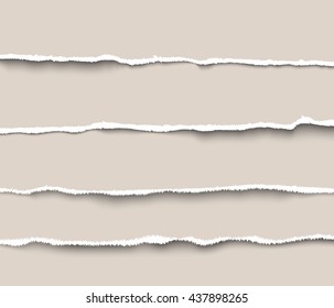 Set of torn paper dividers for websites and infographics. Realistic vector torn paper with ripped edges