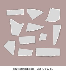 Set of torn paper fragments isolated on background, Vector illustration