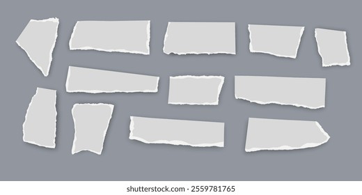 Set of torn paper fragments isolated on background, Vector illustration