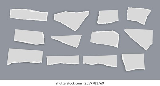 Set of torn paper fragments isolated on background, Vector illustration