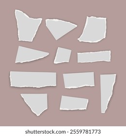 Set of torn paper fragments isolated on background, Vector illustration