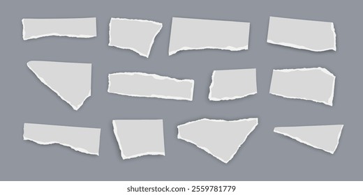 Set of torn paper fragments isolated on background, Vector illustration