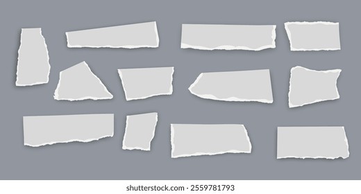 Set of torn paper fragments isolated on background, Vector illustration