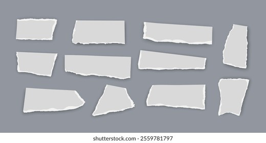 Set of torn paper fragments isolated on background, Vector illustration