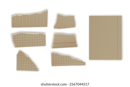 Set of torn paper fragments isolated on background, Vector illustration