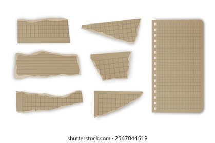 Set of torn paper fragments isolated on background, Vector illustration