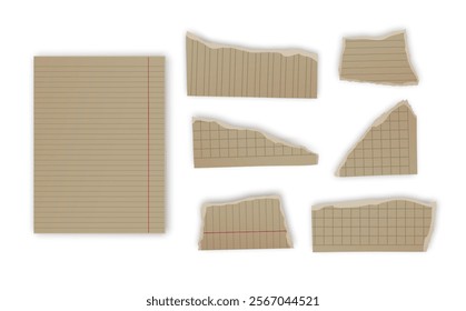 Set of torn paper fragments isolated on background, Vector illustration