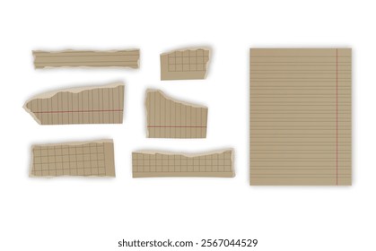 Set of torn paper fragments isolated on background, Vector illustration