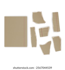 Set of torn paper fragments isolated on background, Vector illustration