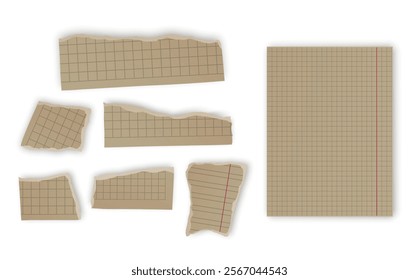 Set of torn paper fragments isolated on background, Vector illustration