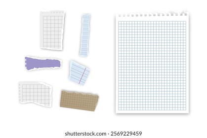 Set of torn paper fragments isolated on background, Vector illustration