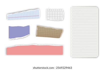 Set of torn paper fragments isolated on background, Vector illustration