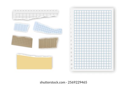 Set of torn paper fragments isolated on background, Vector illustration