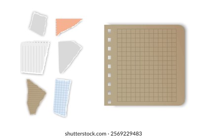 Set of torn paper fragments isolated on background, Vector illustration