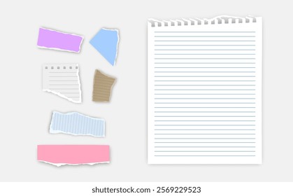 Set of torn paper fragments isolated on background, Vector illustration