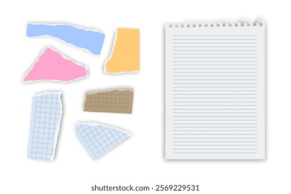 Set of torn paper fragments isolated on background, Vector illustration