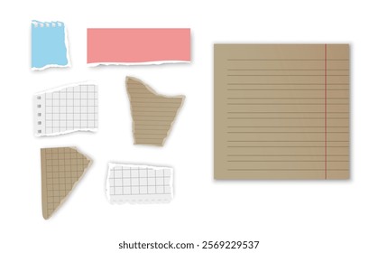 Set of torn paper fragments isolated on background, Vector illustration