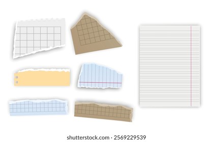 Set of torn paper fragments isolated on background, Vector illustration