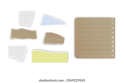 Set of torn paper fragments isolated on background, Vector illustration