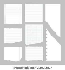 Eine Reihe zerrissener Papierseiten. Ein Blatt mit Löchern. Linien und Quadrate. Vorlage, ein Element für das Design. Vektorgrafik