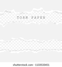 Set of torn paper stripes. Paper texture with damaged edge isolated on transparent background. Vector illustration.