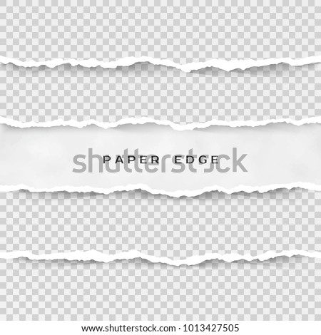 Set of torn paper stripes. Paper texture with damaged edge isolated on transparent background. Vector illustration