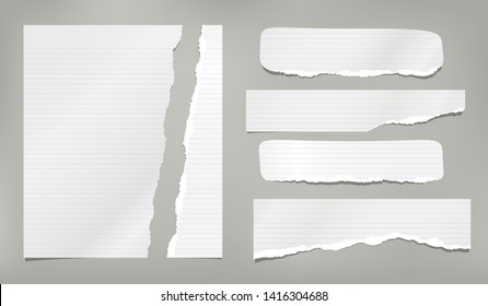 Set Of Torn Paper Strips, Ripped Lined Notebook Sheet Are On Grey Background. Vector Template Illustration