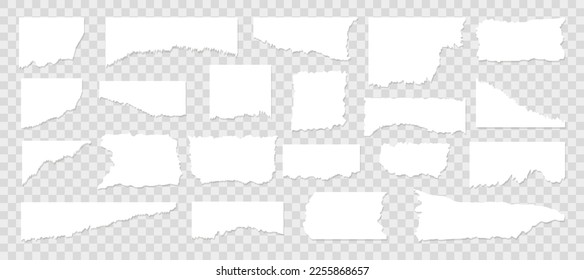  Set of Torn paper.Ripped paper.Vector