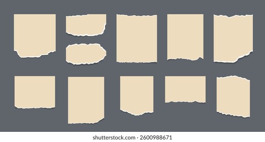 Set of torn ripped paper sheets with sticker. Torn sheets of notebook, texture page, textured memo sheet. Paper notes on stickers.