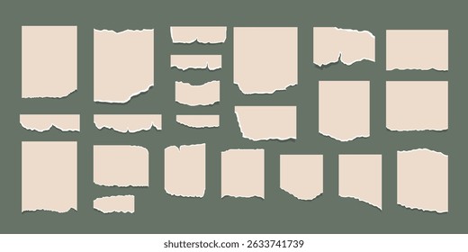 Set of torn ripped paper sheets with sticker. Torn sheets of notebook, texture page, textured memo sheet. Paper notes on stickers.