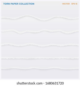 Set Torn sheets of paper with shadow. Vector