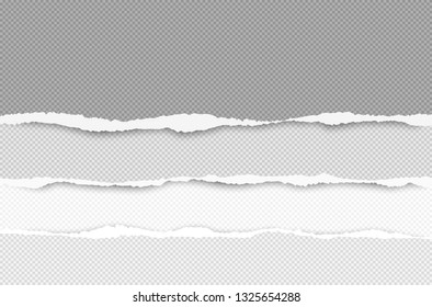 Set of torn squared horizontal paper are on white background with space for text. Vector illustration