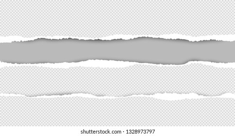 Set of torn squared white horizontal paper are on grey background with space for text. Vector illustration