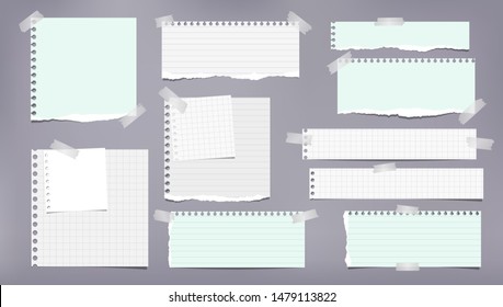 Set of torn white and green note, notebook strips, lined and squared paper pieces stuck with sticky tape on grey background. Vector illustration