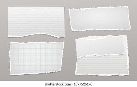 Set of torn white lined, math note, notebook paper pieces stuck on grey background. Vector illustration