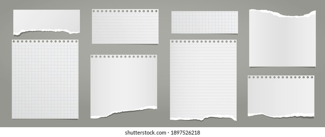 Set of torn white lined, math note, notebook paper pieces stuck on grey background. Vector illustration