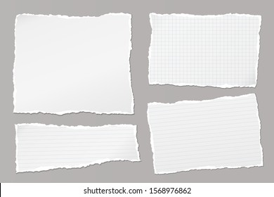 Set of torn white, lined and squared note, notebook paper pieces stuck on grey background. Vector illustration