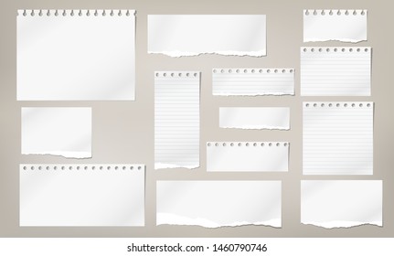 Set Of Torn White Note, Notebook Lined And Blank Paper Pieces Stuck On Light Brown Background. Vector Illustration