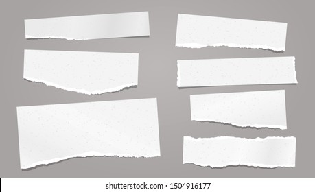 Set of torn white note, notebook paper strips and pieces with soft shadow stuck on grey background. Vector illustration