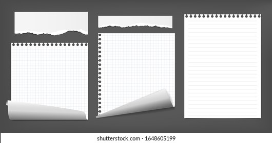 Set of torn white note, notebook paper strips, pieces, sheets with curled corners and soft shadow stuck on black background. Vector illustration