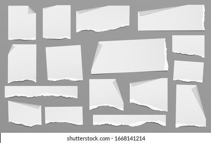 Set of torn white note, notebook paper strips and pieces with curled corner and soft shadow stuck on grey background. Vector illustration