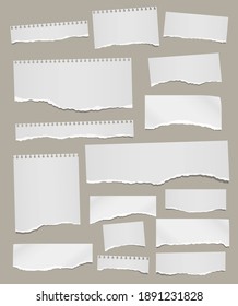 Set of torn white note, notebook paper pieces stuck on light brown background. Vector illustration